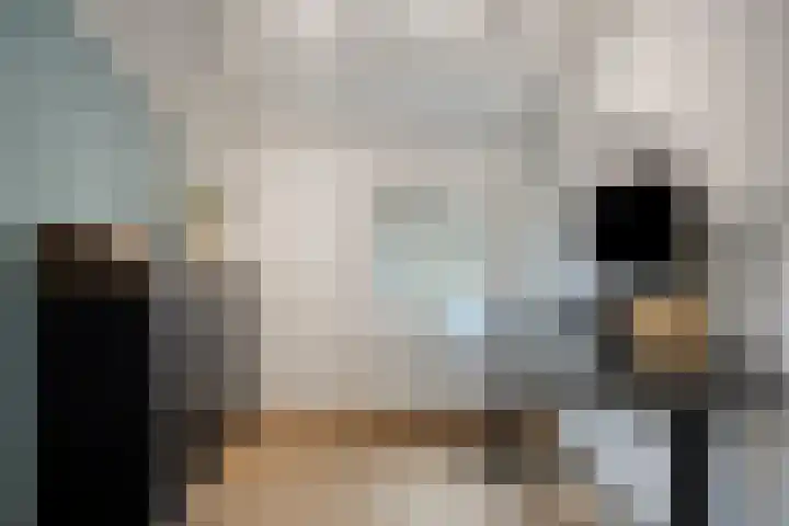 Smidse 36 Schaijk thumbnail 32