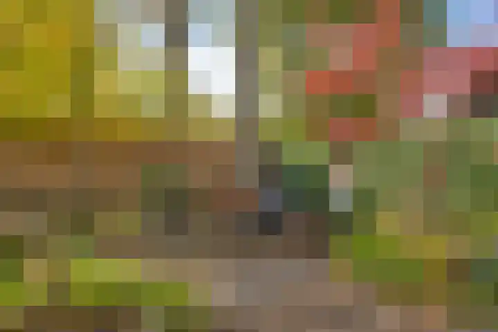 Smidse 36 Schaijk thumbnail 37