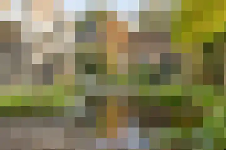 Smidse 36 Schaijk thumbnail 39