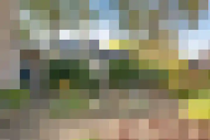 Smidse 36 Schaijk thumbnail 40