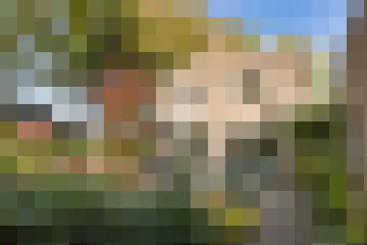 Smidse 36 Schaijk thumbnail 42