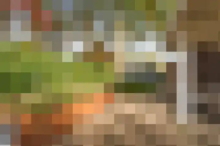 Smidse 36 Schaijk thumbnail 45