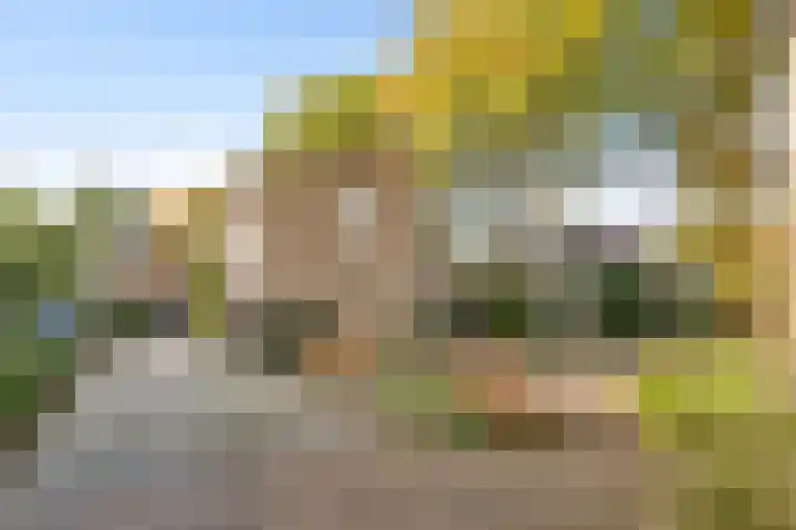 Smidse 36 Schaijk thumbnail 6