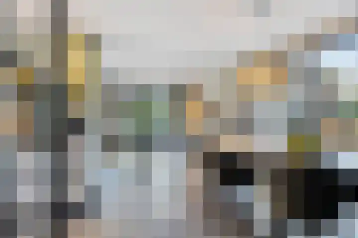 Smidse 36 Schaijk thumbnail 9