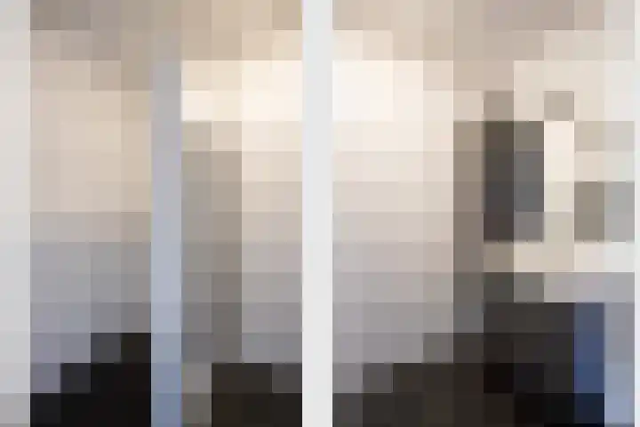 Smidseind 57 Bladel thumbnail 17