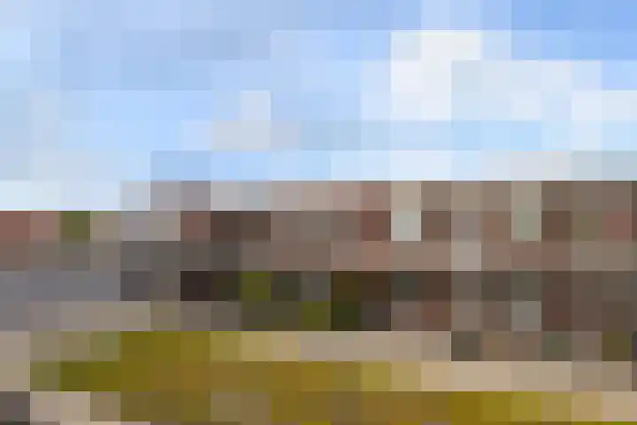 Smidseind 57 Bladel thumbnail 21