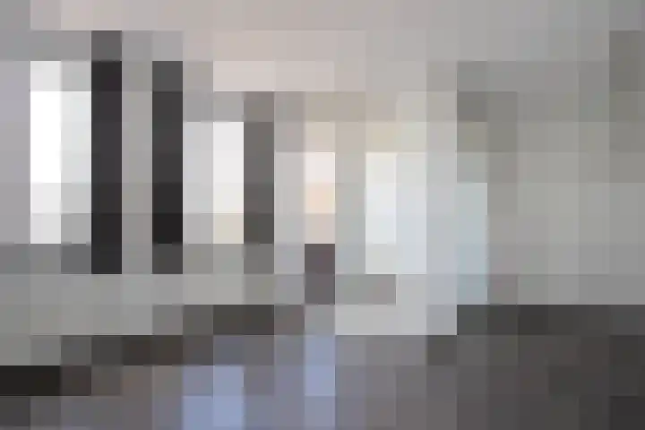 Smidseind 57 Bladel thumbnail 6