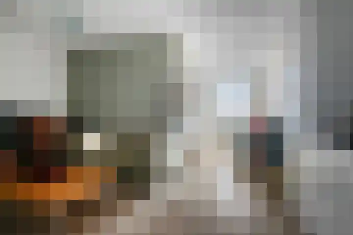 Smidseind 63 Bladel thumbnail 12