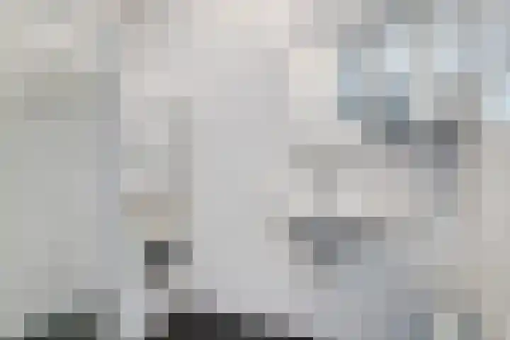 Smidseind 63 Bladel thumbnail 25