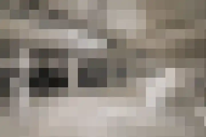 Smidseind 63 Bladel thumbnail 27