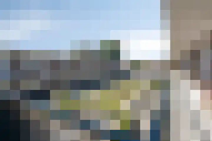 Smidseind 63 Bladel thumbnail 8