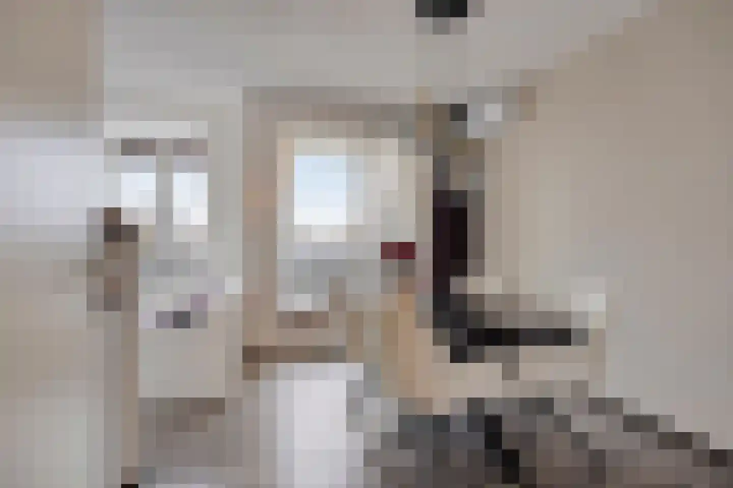 Smidseind 79 Bladel thumbnail 14