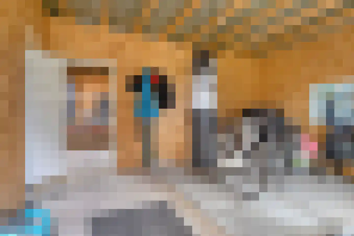 Smidseind 79 Bladel thumbnail 17
