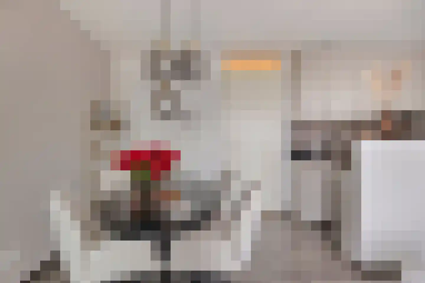 Smidseind 79 Bladel thumbnail 18
