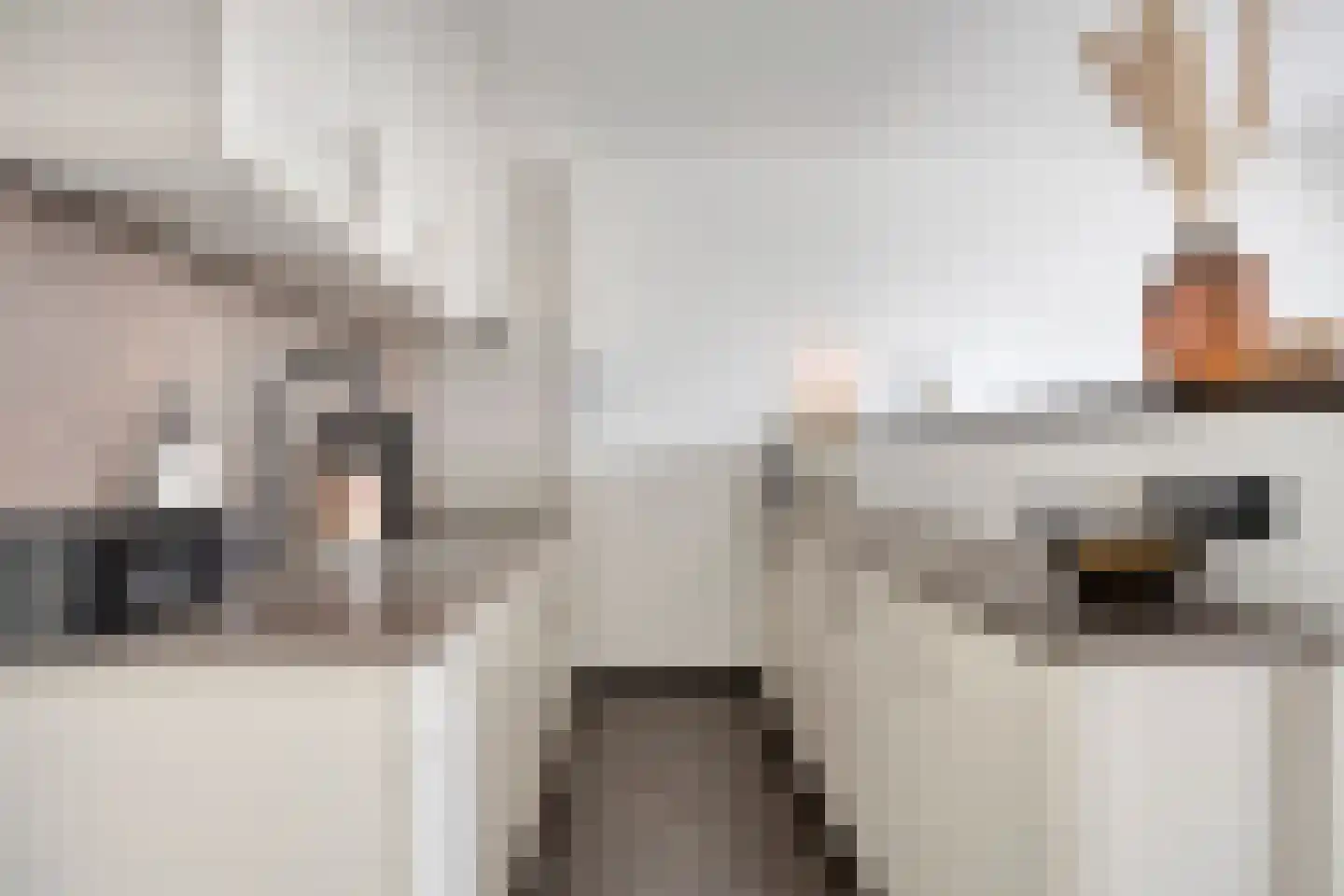 Smidseind 79 Bladel thumbnail 26