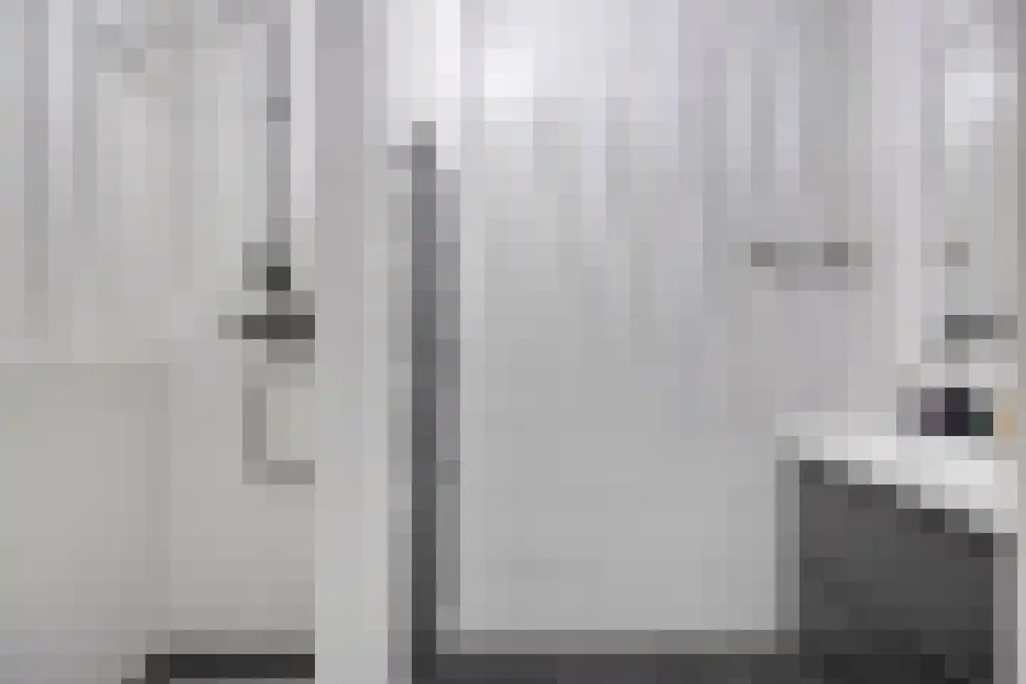 Smidseind 79 Bladel thumbnail 35