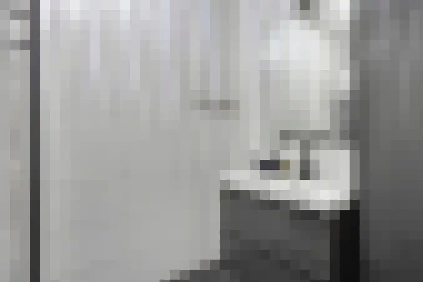 Smidseind 79 Bladel thumbnail 36
