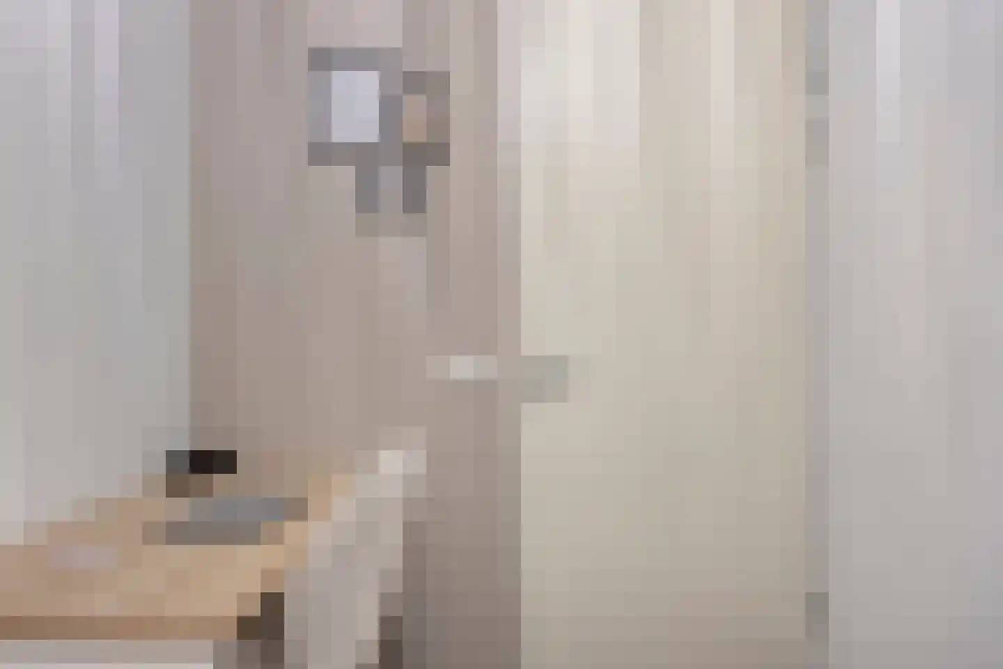 Smidseind 79 Bladel thumbnail 42