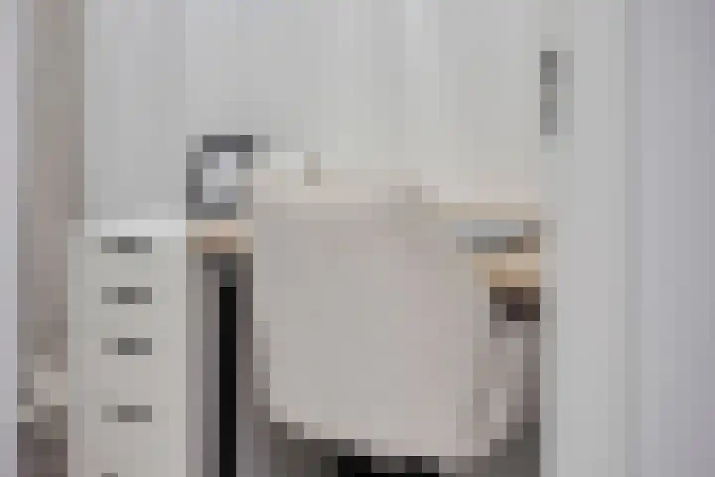 Smidseind 79 Bladel thumbnail 43