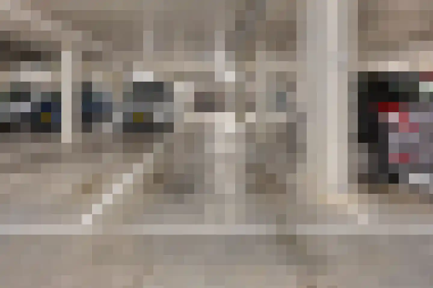 Smidseind 79 Bladel thumbnail 46