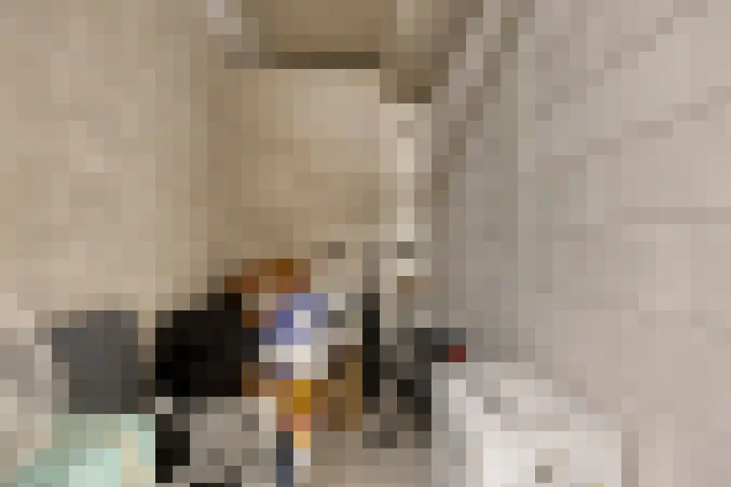 Smidseind 79 Bladel thumbnail 47