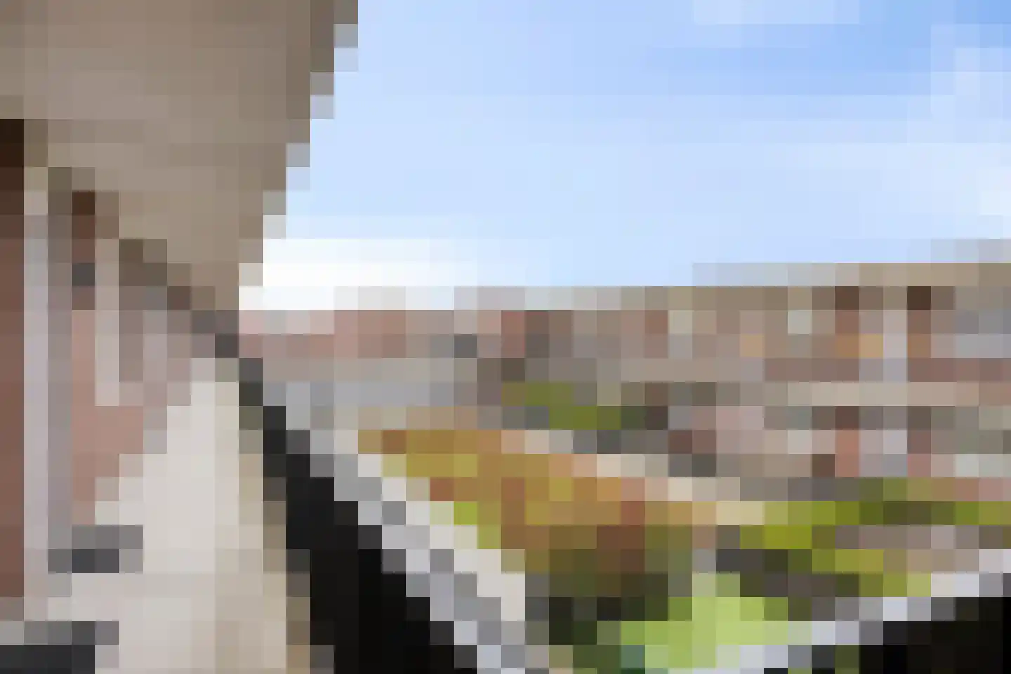 Smidseind 79 Bladel thumbnail 9