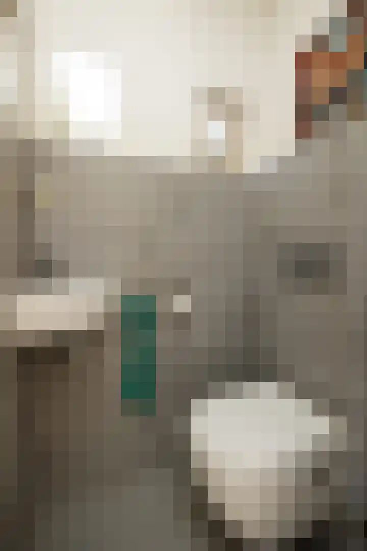 Smidsepad 34 Liempde thumbnail 15