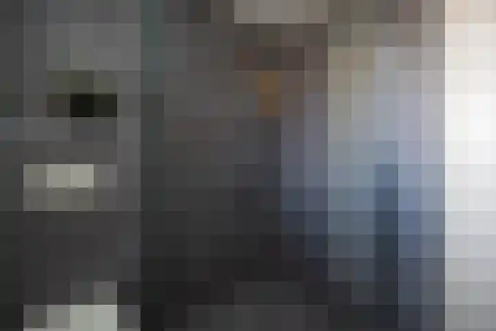 Smidsepad 34 Liempde thumbnail 24
