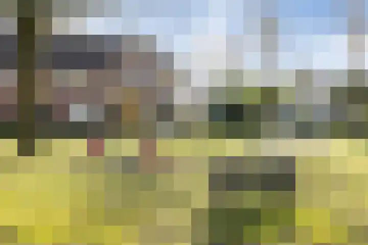 Smidsepad 34 Liempde thumbnail 43