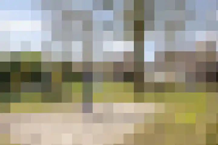 Smidsepad 34 Liempde thumbnail 44