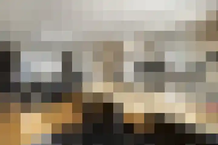 Smidsepad 34 Liempde thumbnail 9