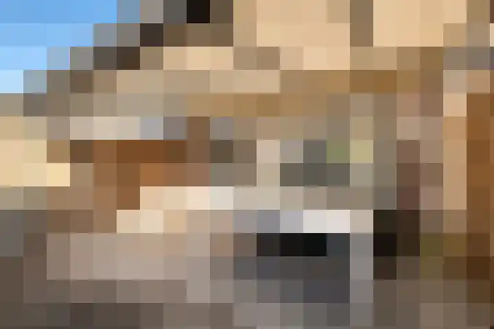 Smidshamer 18 Dronten thumbnail 23