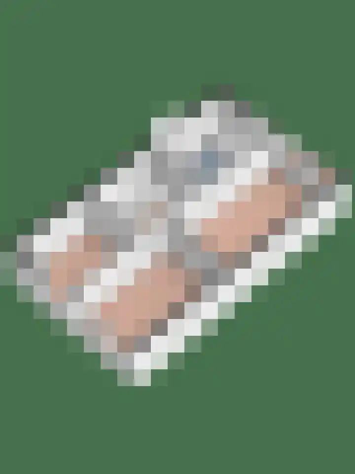 Smidshamer 18 Dronten thumbnail 35