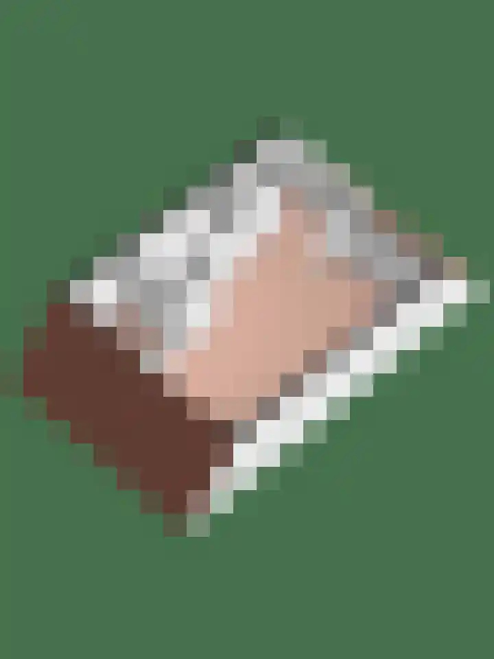Smidshamer 18 Dronten thumbnail 36