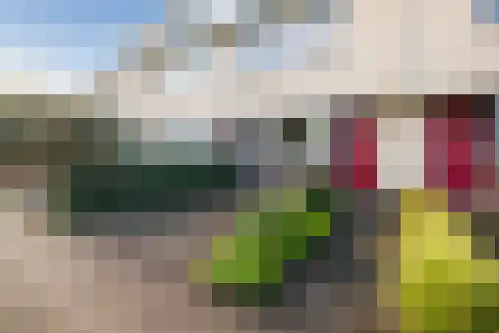 Smidshamer 18 Dronten thumbnail 7