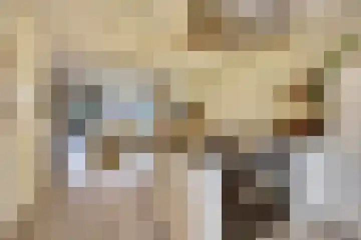 Smidshamer 30 Dronten thumbnail 10