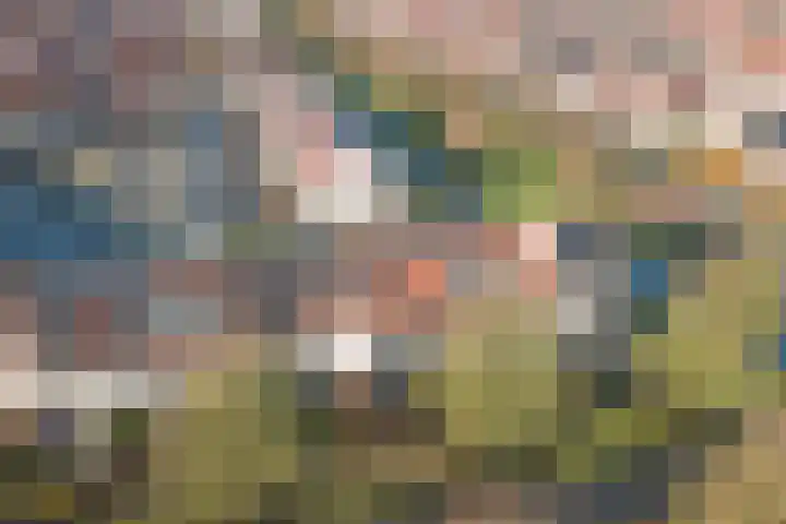 Smidshamer 30 Dronten thumbnail 46