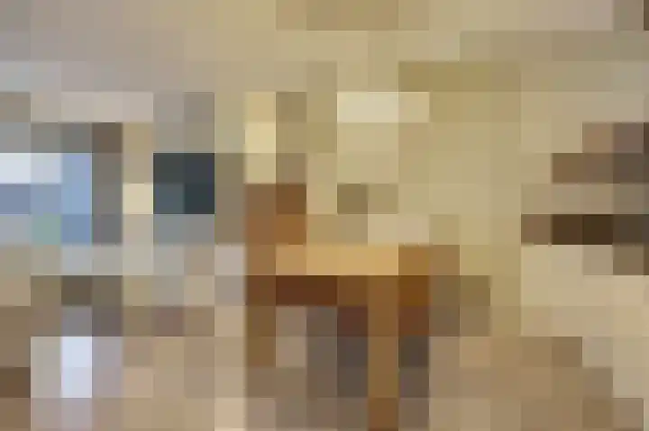 Smidshamer 30 Dronten thumbnail 7