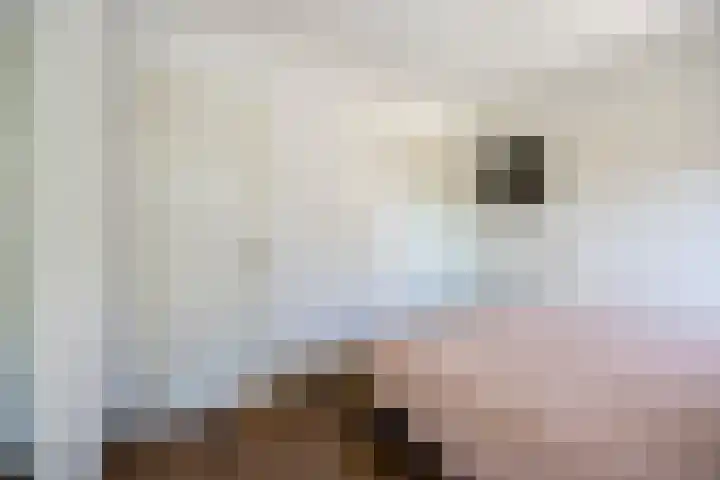 Smidspad 40 12 Tilburg thumbnail 16