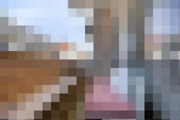 Smidspad 40 12 Tilburg thumbnail 19