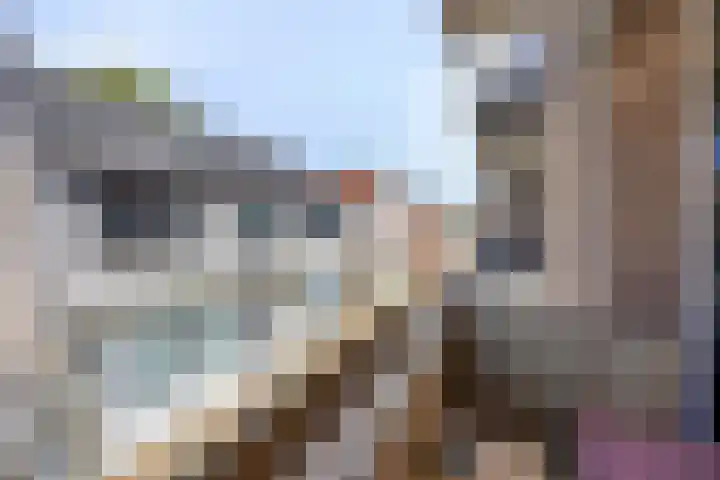 Smidspad 40 12 Tilburg thumbnail 20
