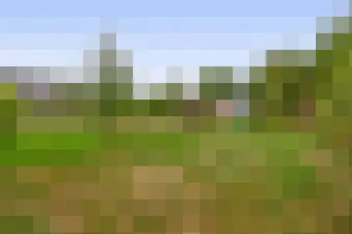 Smidstraat 5 Hunsel thumbnail 32