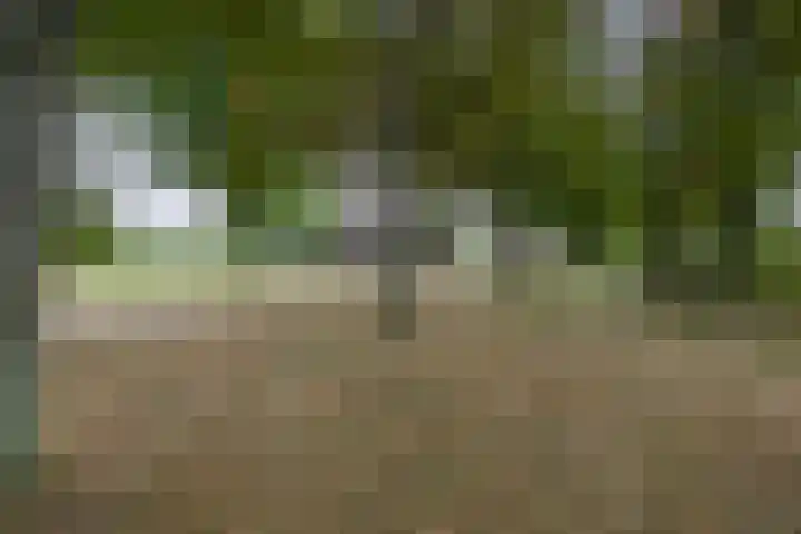 Smidstraat 5 Hunsel thumbnail 36