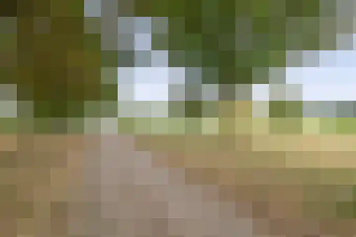 Smidstraat 5 Hunsel thumbnail 37