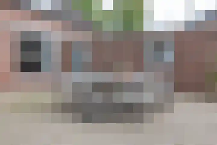 Smidstraat 5 Hunsel thumbnail 38