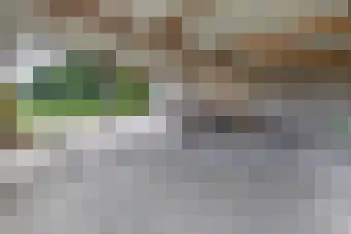 Smidstraat 5 Hunsel thumbnail 43