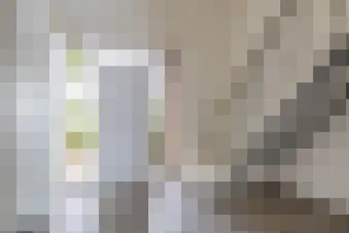 Smidstraat 5 Hunsel thumbnail 7