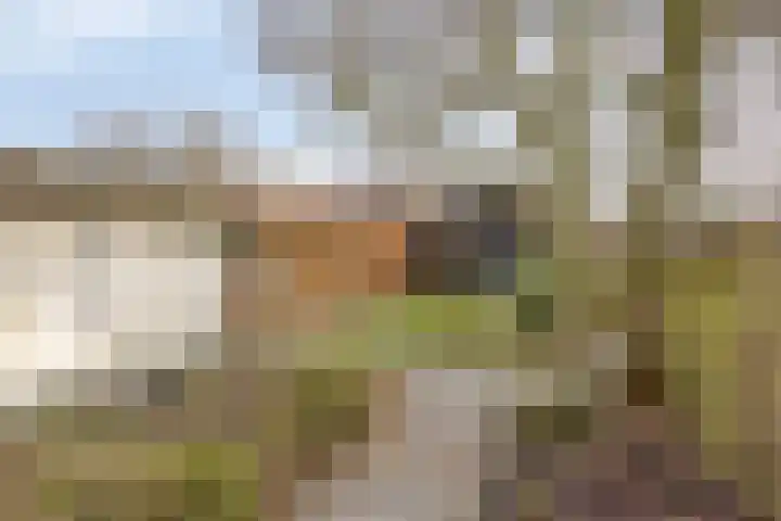 Smidstraat 95 Cuijk thumbnail 39