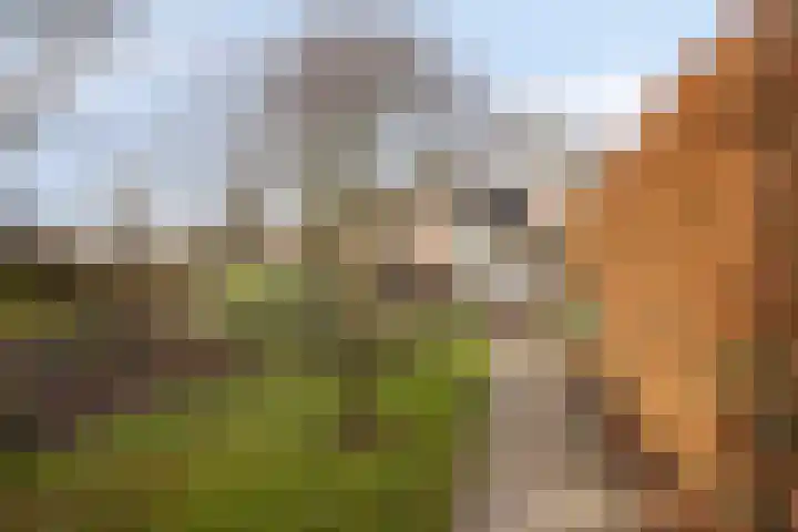Smidstraat 95 Cuijk thumbnail 46