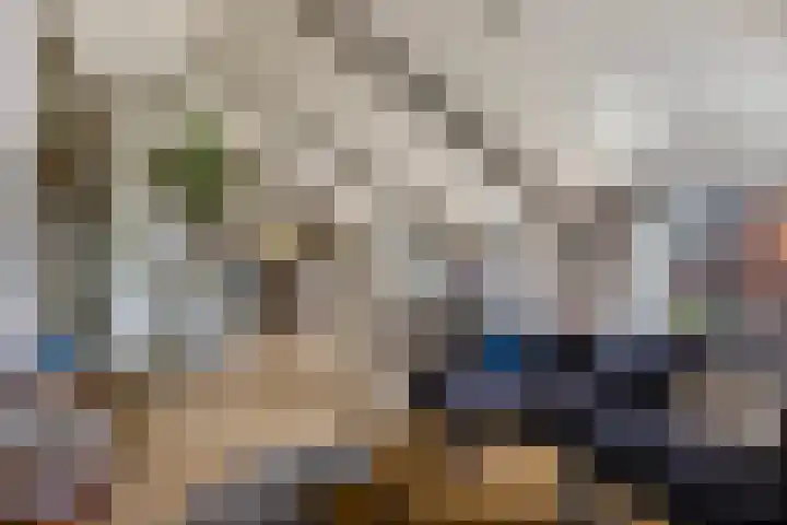Smidsweg 1 B in Westmaas